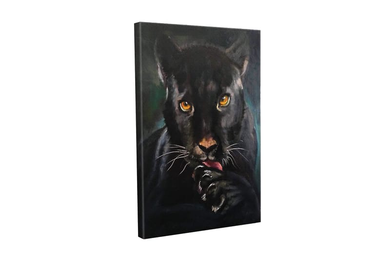 Canvastavla - Svart panter med intensiva ögon som slickar sin tass - Svart / Guld / Mörkgrön - Inredning & dekor - Tavlor & konst - Canvastavla