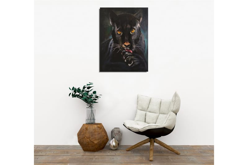 Canvastavla - Svart panter med intensiva ögon som slickar sin tass - Svart / Guld / Mörkgrön - Inredning & dekor - Tavlor & konst - Canvastavla