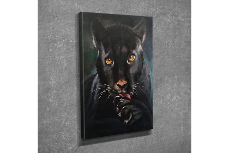Canvastavla - Svart panter med intensiva ögon som slickar sin tass - Svart / Guld / Mörkgrön - Inredning & dekor - Tavlor & konst - Canvastavla