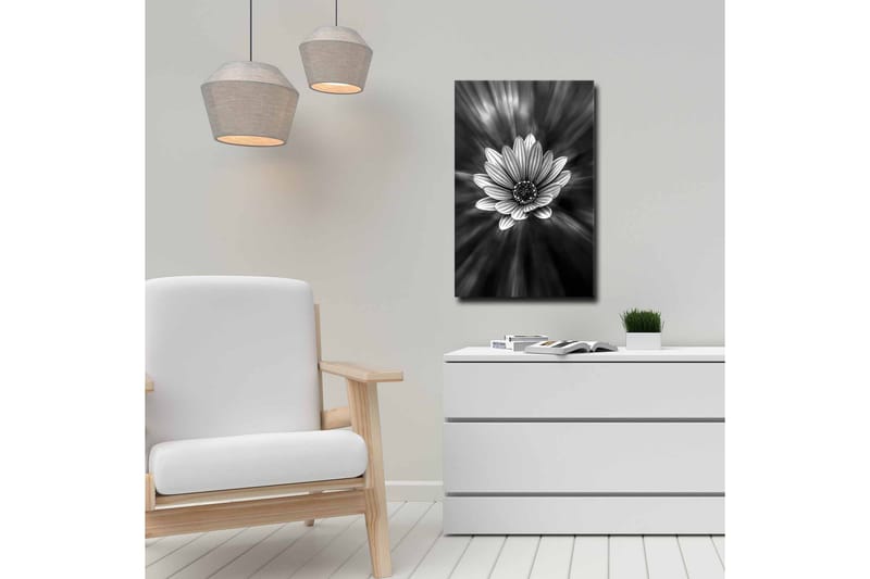 Canvastavla - Svartvit blomma med strålar av ljus som skapar en dramatisk effekt - Svart / Vit / Grå - Inredning & dekor - Tavlor & konst - Canvastavla