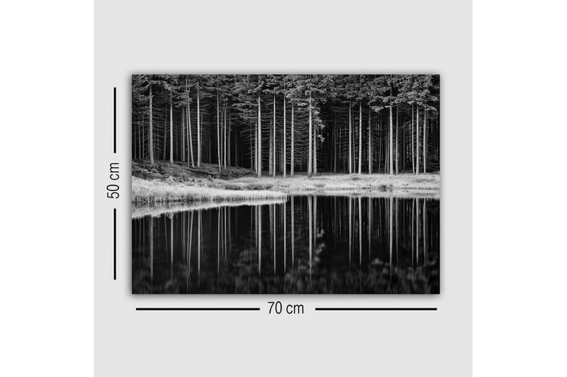 Canvastavla - Svartvit skogsscen med spegelbild i vattnet - Svart / Vitt / Grått - Inredning & dekor - Tavlor & konst - Canvastavla