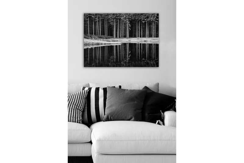 Canvastavla - Svartvit skogsscen med spegelbild i vattnet - Svart / Vitt / Grått - Inredning & dekor - Tavlor & konst - Canvastavla