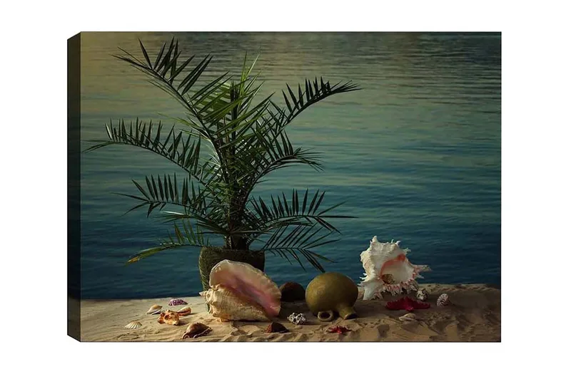 Canvastavla - Tropisk stillhet med palm och snäckor vid vattnet - Grön / Beige / Rosa - Inredning & dekor - Tavlor & konst - Canvastavla