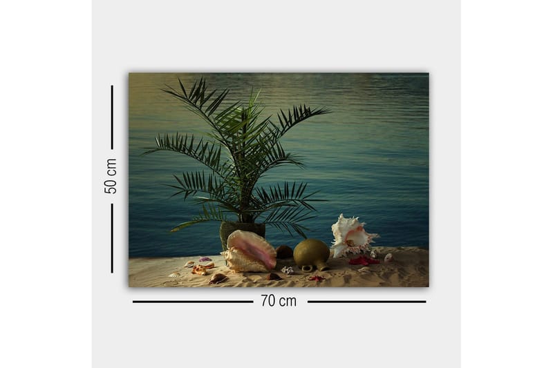 Canvastavla - Tropisk stillhet med palm och snäckor vid vattnet - Grön / Beige / Rosa - Inredning & dekor - Tavlor & konst - Canvastavla
