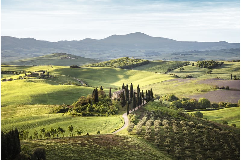 CANVASTAVLA Tuscany - Inredning & dekor - Tavlor & konst - Canvastavla