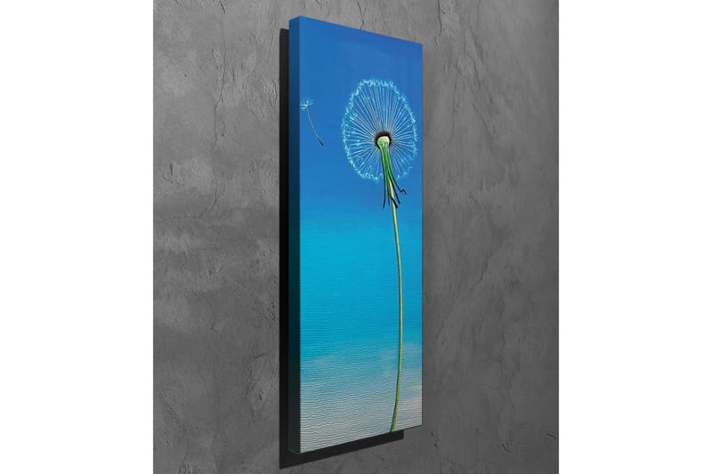 Canvastavla - Tussilago med blå bakgrund - Blå / Grön / Vit - Inredning & dekor - Tavlor & konst - Canvastavla