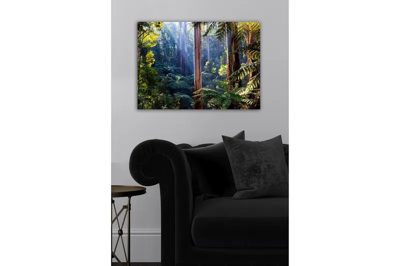 Canvastavla - Tyst skog med höga eukalyptusträd och frodig vegetation - Grön / Brun / Gul - Inredning & dekor - Tavlor & konst - Canvastavla