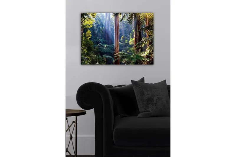 Canvastavla - Tyst skog med höga eukalyptusträd och frodig vegetation - Grön / Brun / Gul - Inredning & dekor - Tavlor & konst - Canvastavla