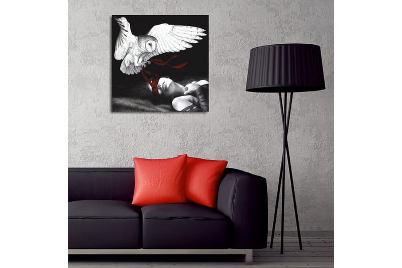 Canvastavla - Uggla som svävar över en sovande person med röda band - Vit / Svart / Röd - Inredning & dekor - Tavlor & konst - Canvastavla