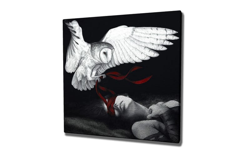Canvastavla - Uggla som svävar över en sovande person med röda band, Vit / Svart / Röd