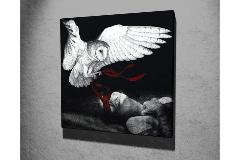 Canvastavla - Uggla som svävar över en sovande person med röda band - Vit / Svart / Röd - Inredning & dekor - Tavlor & konst - Canvastavla