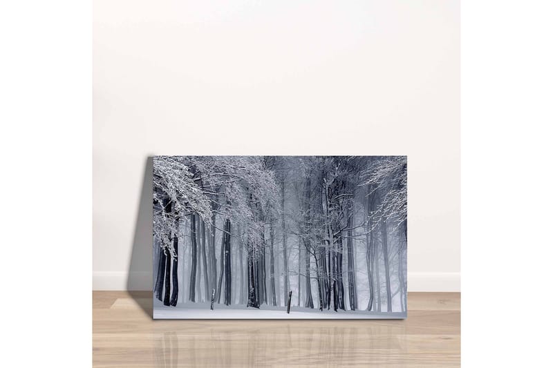 Canvastavla - Vintrig skog med snöklädda träd - Vit / Grå / Svart - Inredning & dekor - Tavlor & konst - Canvastavla