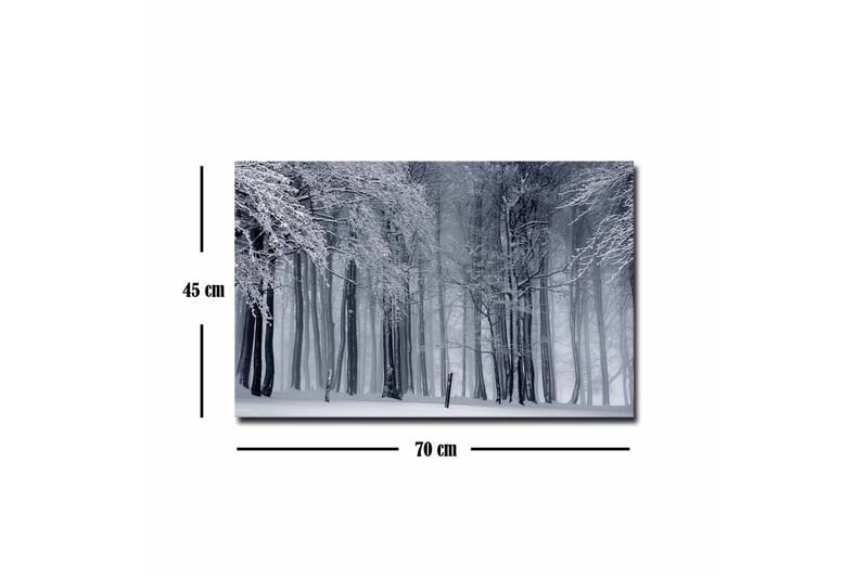 Canvastavla - Vintrig skog med snöklädda träd - Vit / Grå / Svart - Inredning & dekor - Tavlor & konst - Canvastavla