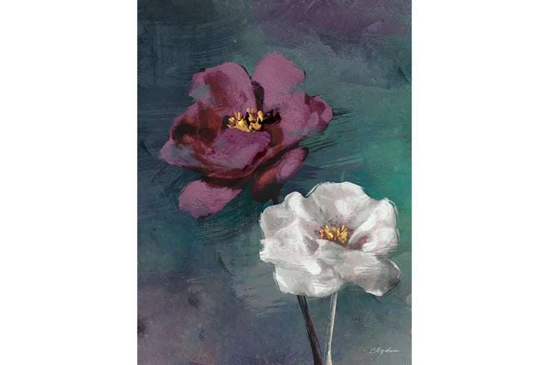 Canvastavla Violet Rose, 60x80 cm