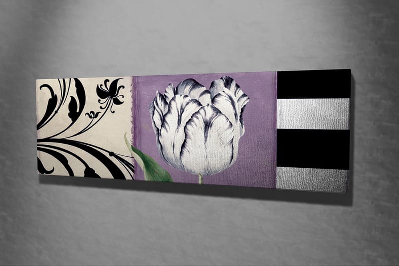 Canvastavla - Vit tulpan mot lila bakgrund - Vit / Lila / Svart - Inredning & dekor - Tavlor & konst - Canvastavla