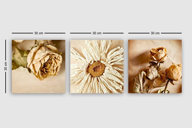 Canvastavla VP Italy 3-pack Flerfärgad - 30x30 cm - Inredning & dekor - Tavlor & konst - Canvastavla