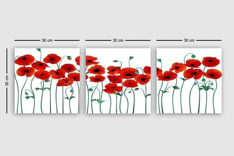 Canvastavla VP Italy 3-pack Flerfärgad - 30x30 cm - Inredning & dekor - Tavlor & konst - Canvastavla