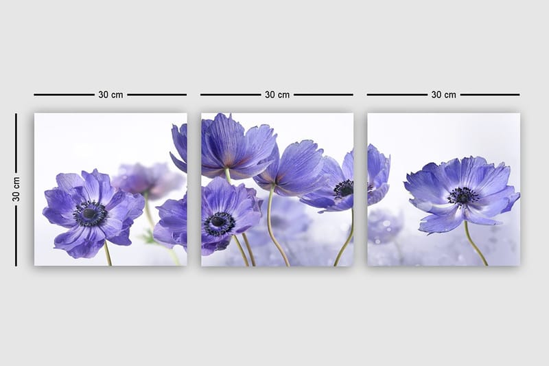 Canvastavla VP Italy 3-pack Flerfärgad - 30x30 cm - Inredning & dekor - Tavlor & konst - Canvastavla