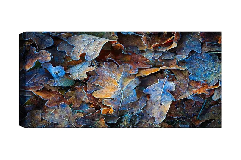 Canvastavla YTY Abstract & Fractals Flerfärgad, 120x50 cm