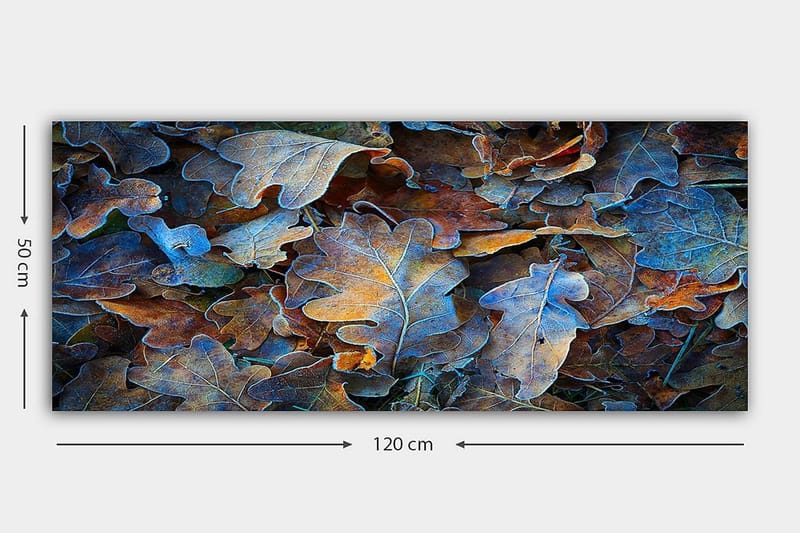 Canvastavla YTY Abstract & Fractals Flerfärgad - 120x50 cm - Inredning & dekor - Tavlor & konst - Canvastavla