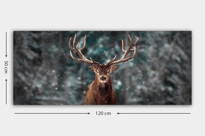 Canvastavla YTY Animals Flerfärgad - 120x50 cm - Inredning & dekor - Tavlor & konst - Canvastavla