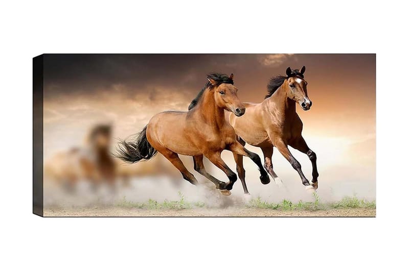 CANVASTAVLA YTY Animals Flerfärgad 120x50 cm - Inredning & dekor - Tavlor & konst - Canvastavla
