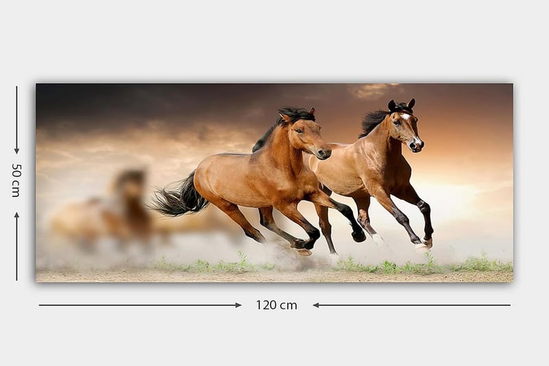 CANVASTAVLA YTY Animals Flerfärgad 120x50 cm - Inredning & dekor - Tavlor & konst - Canvastavla