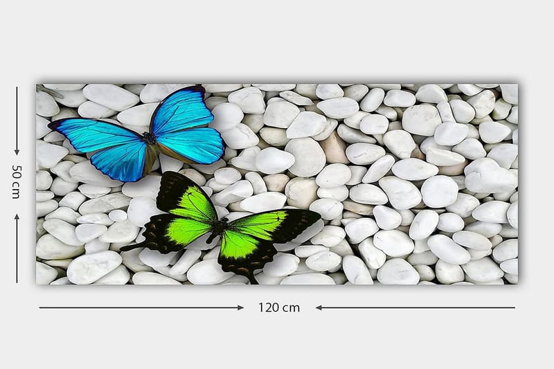 CANVASTAVLA YTY Animals Flerfärgad 120x50 cm - Inredning & dekor - Tavlor & konst - Canvastavla