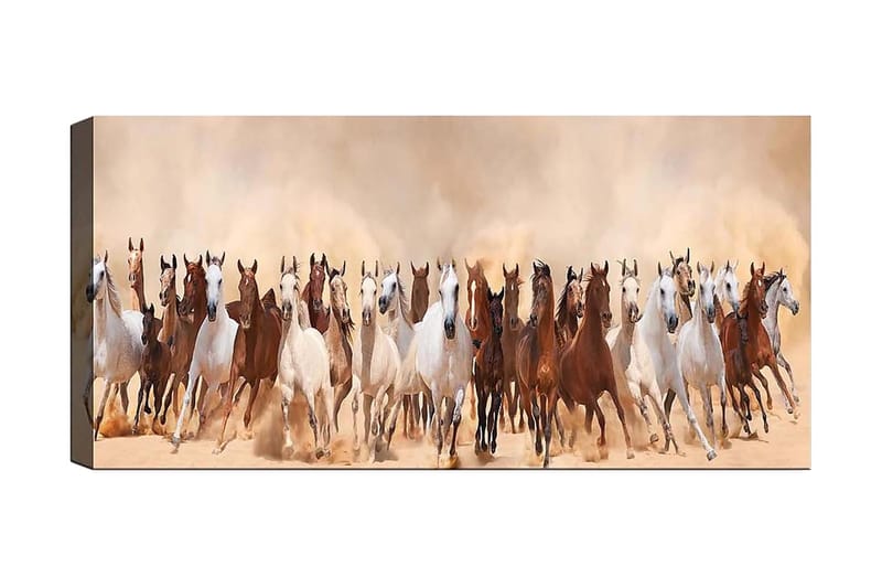 CANVASTAVLA YTY Animals Flerfärgad 120x50 cm - Inredning & dekor - Tavlor & konst - Canvastavla