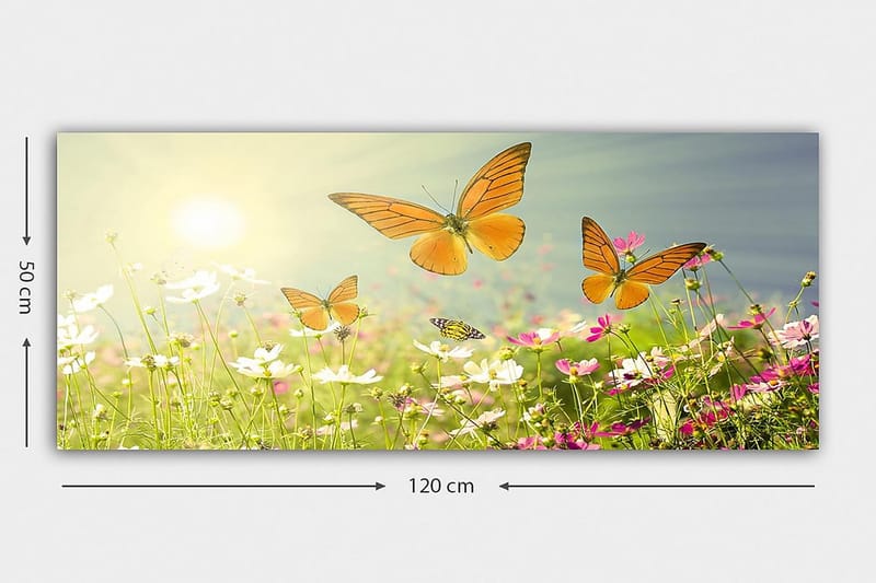 CANVASTAVLA YTY Animals Flerfärgad 120x50 cm - Inredning & dekor - Tavlor & konst - Canvastavla