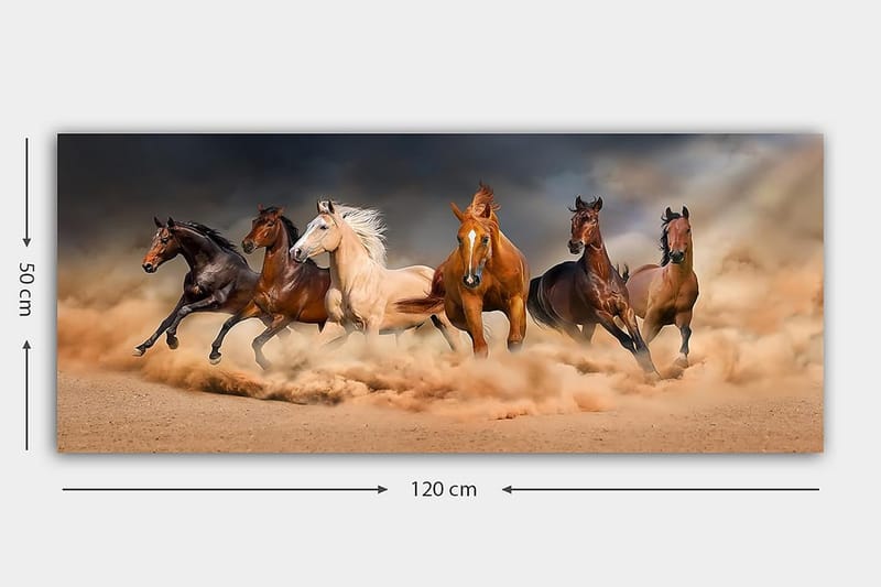 CANVASTAVLA YTY Animals Flerfärgad 120x50 cm - Inredning & dekor - Tavlor & konst - Canvastavla