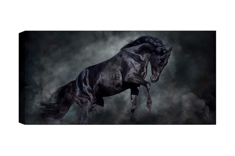 CANVASTAVLA YTY Animals Flerfärgad 120x50 cm - Inredning & dekor - Tavlor & konst - Canvastavla
