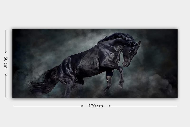 CANVASTAVLA YTY Animals Flerfärgad 120x50 cm - Inredning & dekor - Tavlor & konst - Canvastavla