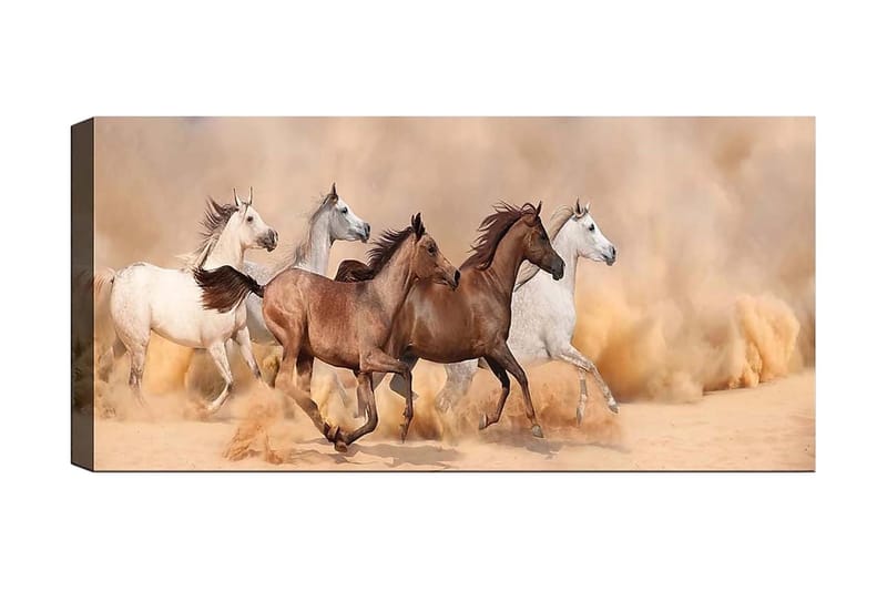 CANVASTAVLA YTY Animals Flerfärgad 120x50 cm - Inredning & dekor - Tavlor & konst - Canvastavla