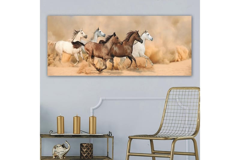 CANVASTAVLA YTY Animals Flerfärgad 120x50 cm - Canvastavla