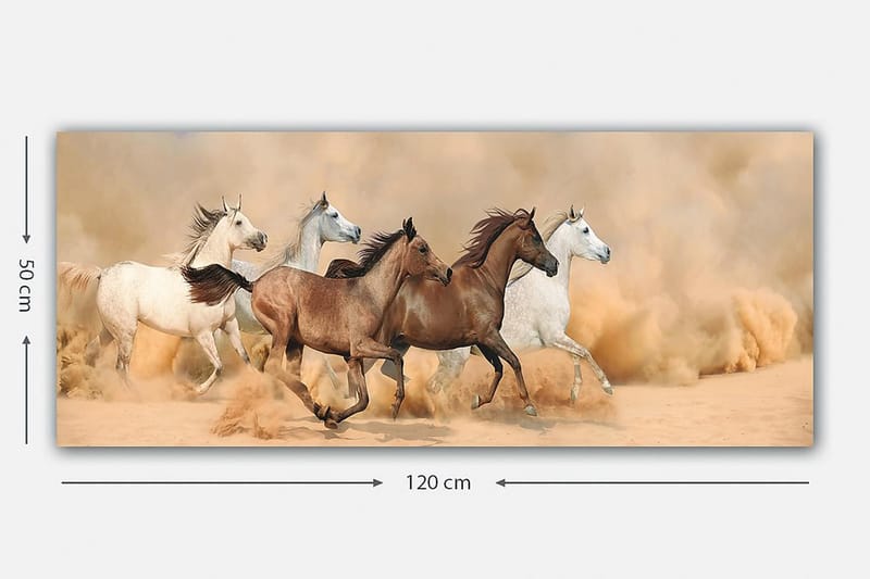 CANVASTAVLA YTY Animals Flerfärgad 120x50 cm - Inredning & dekor - Tavlor & konst - Canvastavla