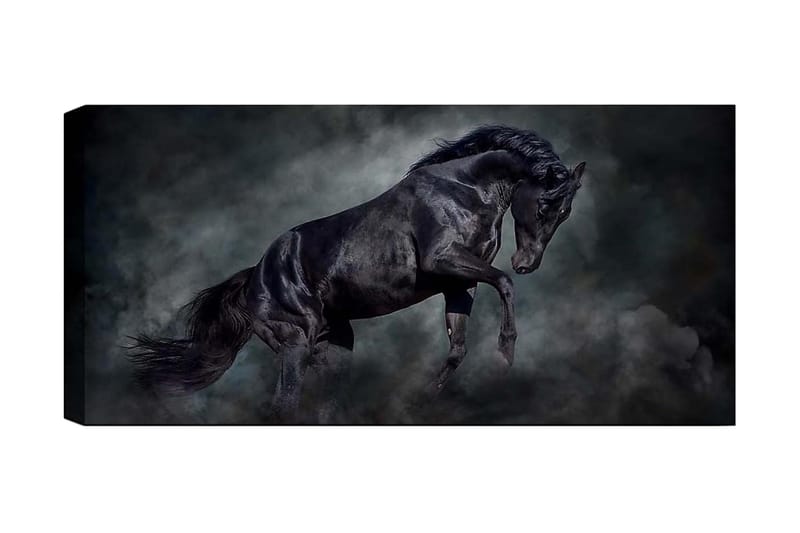 CANVASTAVLA YTY Animals Flerfärgad 120x50 cm - Inredning & dekor - Tavlor & konst - Canvastavla