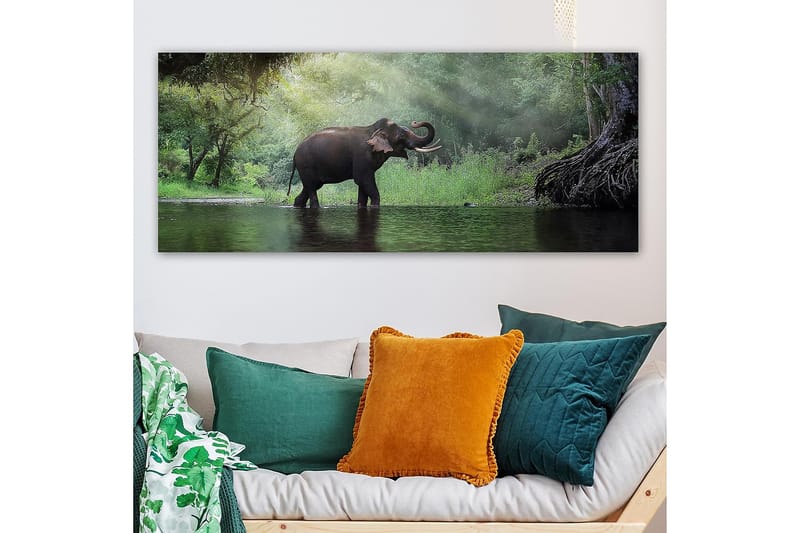 CANVASTAVLA YTY Animals Flerfärgad 120x50 cm - Inredning & dekor - Tavlor & konst - Canvastavla