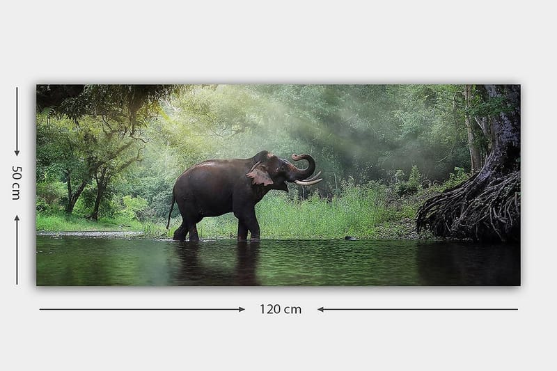 CANVASTAVLA YTY Animals Flerfärgad 120x50 cm - Inredning & dekor - Tavlor & konst - Canvastavla