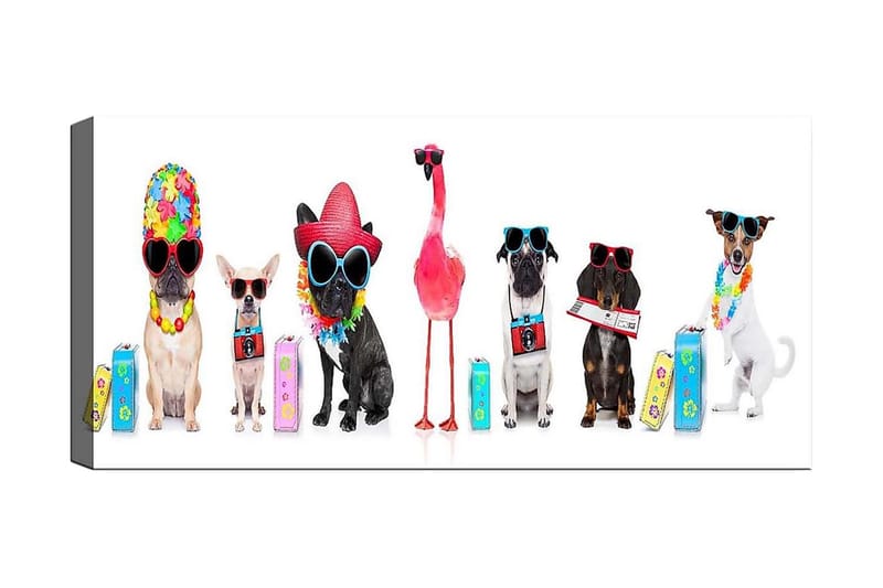 CANVASTAVLA YTY Animals Flerfärgad 120x50 cm - Inredning & dekor - Tavlor & konst - Canvastavla