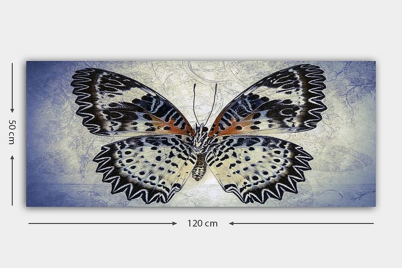 CANVASTAVLA YTY Animals Flerfärgad 120x50 cm - Inredning & dekor - Tavlor & konst - Canvastavla
