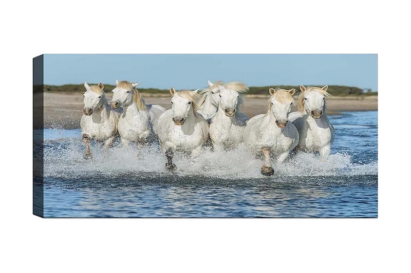 CANVASTAVLA YTY Animals Flerfärgad 120x50 cm - Inredning & dekor - Tavlor & konst - Canvastavla