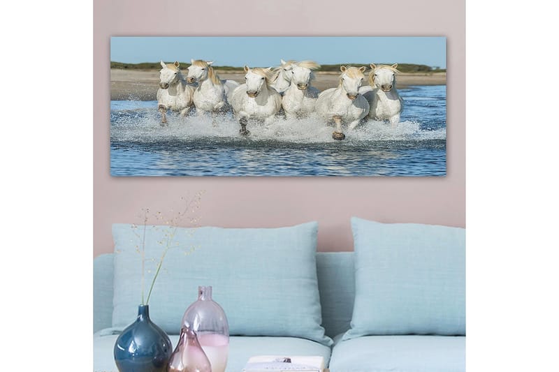 CANVASTAVLA YTY Animals Flerfärgad 120x50 cm - Inredning & dekor - Tavlor & konst - Canvastavla