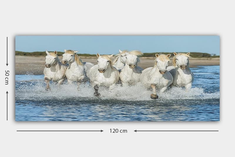 CANVASTAVLA YTY Animals Flerfärgad 120x50 cm - Inredning & dekor - Tavlor & konst - Canvastavla
