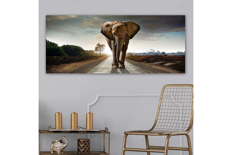 CANVASTAVLA YTY Animals Flerfärgad 120x50 cm - Inredning & dekor - Tavlor & konst - Canvastavla