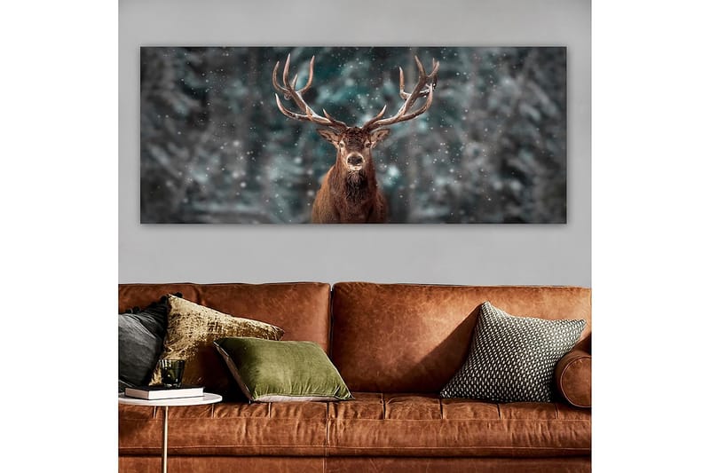 CANVASTAVLA YTY Animals Flerfärgad 120x50 cm - Inredning & dekor - Tavlor & konst - Canvastavla