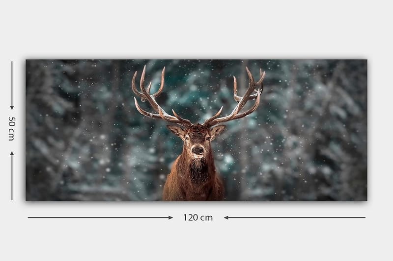 CANVASTAVLA YTY Animals Flerfärgad 120x50 cm - Inredning & dekor - Tavlor & konst - Canvastavla