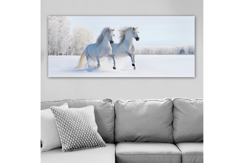 CANVASTAVLA YTY Animals Flerfärgad 120x50 cm - Inredning & dekor - Tavlor & konst - Canvastavla