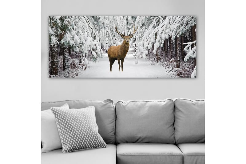 CANVASTAVLA YTY Animals Flerfärgad 120x50 cm - Inredning & dekor - Tavlor & konst - Canvastavla