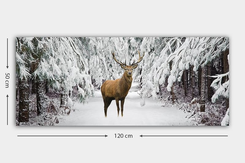 CANVASTAVLA YTY Animals Flerfärgad 120x50 cm - Inredning & dekor - Tavlor & konst - Canvastavla